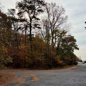 Photo #4 of Lot 128 OCTOPUS, GREENBACKVILLE, VA 0.3 acres