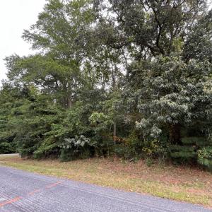 Photo #7 of Lot 128 OCTOPUS, GREENBACKVILLE, VA 0.3 acres