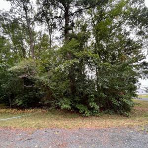 Photo #8 of Lot 128 OCTOPUS, GREENBACKVILLE, VA 0.3 acres
