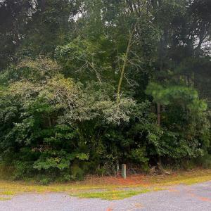Photo #9 of Lot 128 OCTOPUS, GREENBACKVILLE, VA 0.3 acres