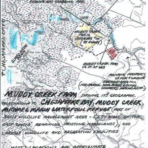 Photo #3 of Parcel B MUDDY CREEK RD, BLOXOM, VA 184.0 acres
