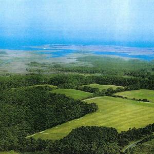Photo #7 of Parcel B MUDDY CREEK RD, BLOXOM, VA 184.0 acres
