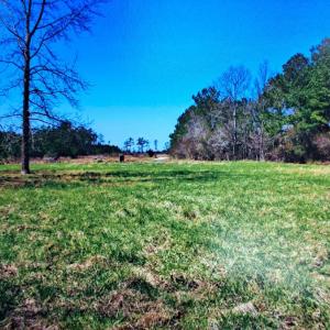 Photo #12 of Parcel B MUDDY CREEK RD, BLOXOM, VA 184.0 acres