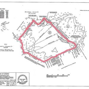 Photo #2 of Parcel B MUDDY CREEK RD, BLOXOM, VA 184.0 acres