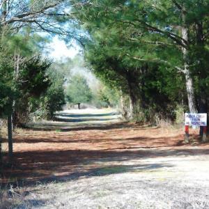 Photo #5 of Parcel B MUDDY CREEK RD, BLOXOM, VA 184.0 acres