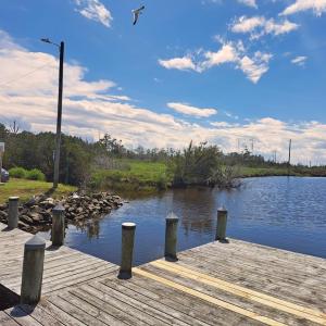 Photo #9 of Parcel B MUDDY CREEK RD, BLOXOM, VA 184.0 acres