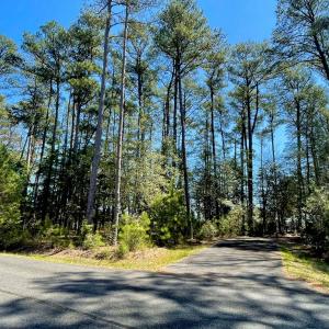 Photo #13 of Lot 3 OCEANVIEW COURT, ACCOMAC, VA 3.3 acres
