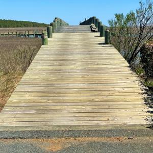 Photo #21 of Lot 3 OCEANVIEW COURT, ACCOMAC, VA 3.3 acres