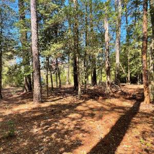 Photo #3 of Lot 3 OCEANVIEW COURT, ACCOMAC, VA 3.3 acres