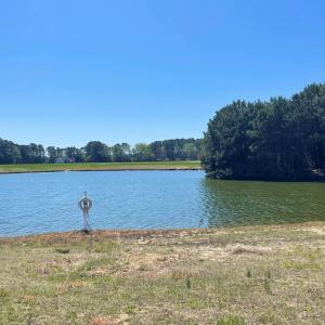 Photo #38 of Lot 3 OCEANVIEW COURT, ACCOMAC, VA 3.3 acres