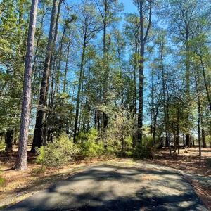 Photo #4 of Lot 3 OCEANVIEW COURT, ACCOMAC, VA 3.3 acres