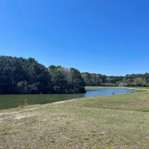 Photo #40 of Lot 3 OCEANVIEW COURT, ACCOMAC, VA 3.3 acres