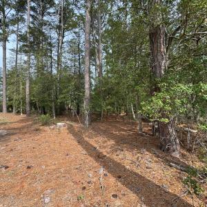 Photo #10 of Lot 3 OCEANVIEW COURT, ACCOMAC, VA 3.3 acres