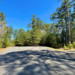 Photo #14 of Lot 3 OCEANVIEW COURT, ACCOMAC, VA 3.3 acres