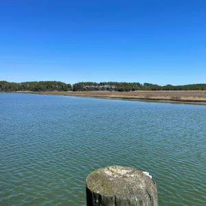 Photo #25 of Lot 3 OCEANVIEW COURT, ACCOMAC, VA 3.3 acres