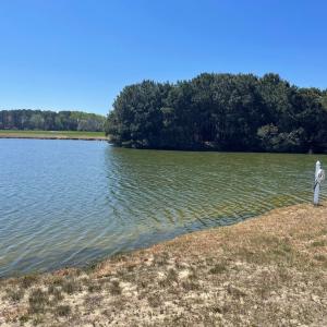 Photo #39 of Lot 3 OCEANVIEW COURT, ACCOMAC, VA 3.3 acres