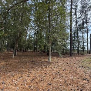 Photo #6 of Lot 3 OCEANVIEW COURT, ACCOMAC, VA 3.3 acres