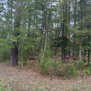 Photo #9 of Lot 3 OCEANVIEW COURT, ACCOMAC, VA 3.3 acres