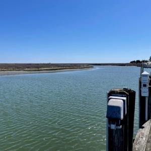 Photo #30 of Lot 3 OCEANVIEW COURT, ACCOMAC, VA 3.3 acres