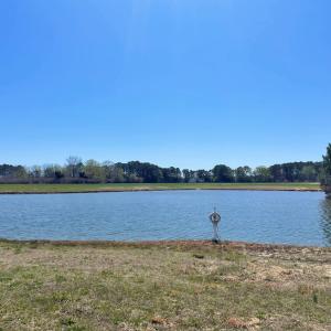 Photo #42 of Lot 3 OCEANVIEW COURT, ACCOMAC, VA 3.3 acres