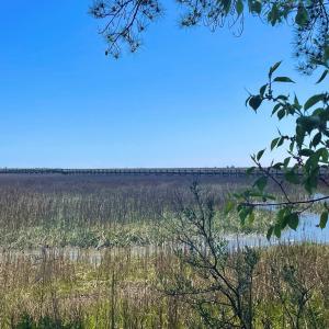 Photo #5 of Lot 3 OCEANVIEW COURT, ACCOMAC, VA 3.3 acres