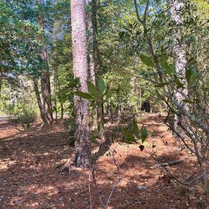 Photo #8 of Lot 3 OCEANVIEW COURT, ACCOMAC, VA 3.3 acres