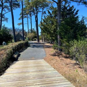 Photo #19 of Lot 3 OCEANVIEW COURT, ACCOMAC, VA 3.3 acres