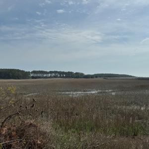 Photo #7 of Lot 3 OCEANVIEW COURT, ACCOMAC, VA 3.3 acres