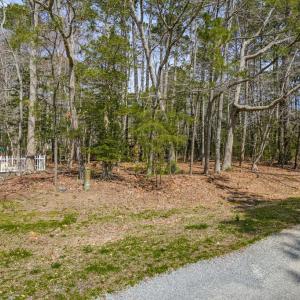 Photo #3 of Lot 52 DAVEY JONES BLVD, GREENBACKVILLE, VA 9.0 acres