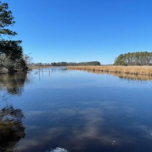 Photo #19 of Lot 33 PITTS CREEK RD, NEW CHURCH, VA 6.5 acres