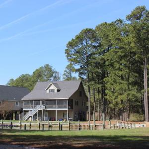 Main View