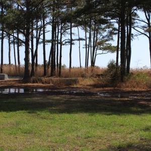 Photo #5 of 800 CASTAWAY DR, GREENBACKVILLE, VA 105.0 acres
