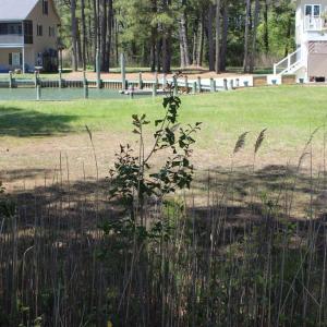 Photo #2 of 800 CASTAWAY DR, GREENBACKVILLE, VA 105.0 acres