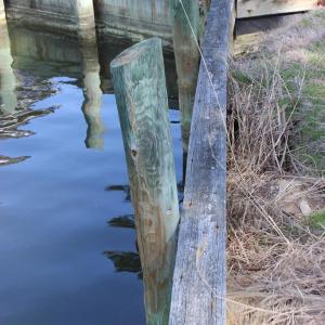Photo #7 of 800 CASTAWAY DR, GREENBACKVILLE, VA 105.0 acres