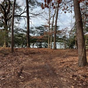 Photo #3 of GREENBRIAR CT, EASTVILLE, VA 5.6 acres