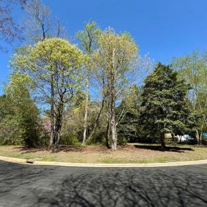 Photo #7 of 11 CARISSA CT, CAPE CHARLES, VA 0.2 acres