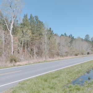 Photo #2 of MEARS STATION RD, BLOXOM, VA 14.0 acres