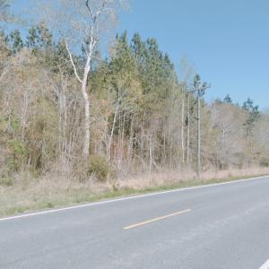 Photo #3 of MEARS STATION RD, BLOXOM, VA 14.0 acres