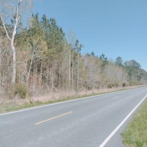 Photo #4 of MEARS STATION RD, BLOXOM, VA 14.0 acres