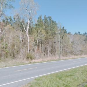Photo #5 of MEARS STATION RD, BLOXOM, VA 14.0 acres