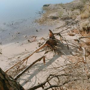 Photo #2 of Lot 9 CEDAR GROVE DRIVE, PAINTER, VA 1.6 acres