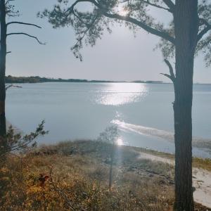 Photo #5 of Lot 9 CEDAR GROVE DRIVE, PAINTER, VA 1.6 acres