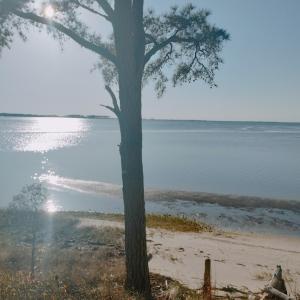 Photo #6 of Lot 9 CEDAR GROVE DRIVE, PAINTER, VA 1.6 acres