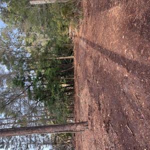 Photo #2 of GREENBRIAR CT, EASTVILLE, VA 5.7 acres