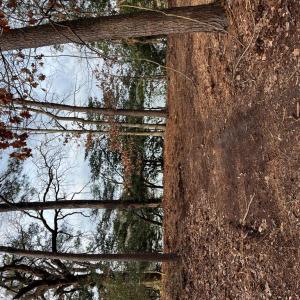 Photo #3 of GREENBRIAR CT, EASTVILLE, VA 5.7 acres