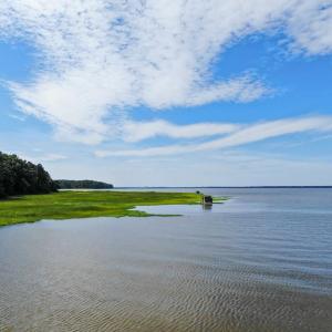 Photo #4 of SYCAMORE LANDING BLVD, WILLIAMSBURG, VA 395.0 acres