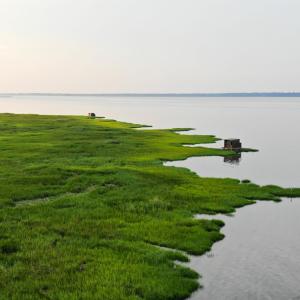 Photo #7 of SYCAMORE LANDING BLVD, WILLIAMSBURG, VA 395.0 acres