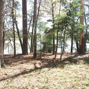 Photo #3 of 121 CREEKSIDE LN, CAPE CHARLES, VA 1.1 acres