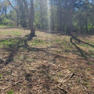 Photo #3 of 1 ACRE HILLCREST DR, STAUNTON, VA 1.0 acres
