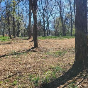 Photo #5 of 1 ACRE HILLCREST DR, STAUNTON, VA 1.0 acres
